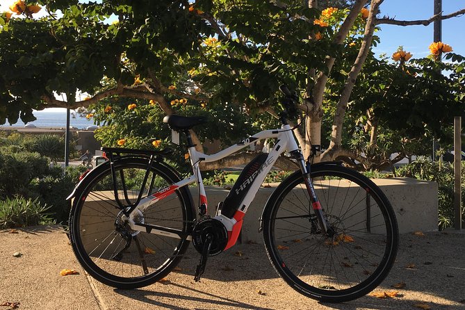 Half Day Performance Ebike Rental - Traveler Reviews and Ratings
