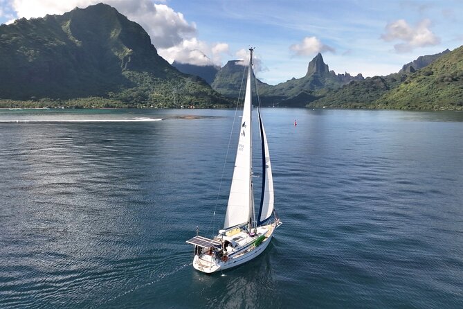Half Day Private Excursion Self-navigate Mori Ora - Whats Included