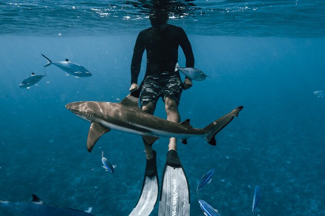 Half Day Snorkeling in Moorea - Traveler Photos