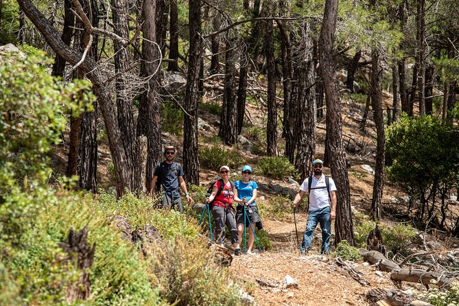 Hiking Mountain Akramitis Rhodes - Pick up Service Available - The Sum Up