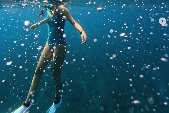 Hilo Small-Group Dolphin Watch and Snorkel Tour  - Big Island of Hawaii - Overview and Activities