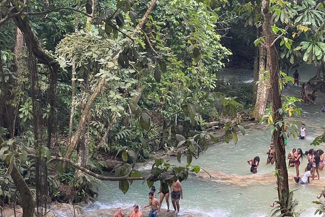 Horseback Riding and Swimming in Dunns River Falls - The Sum Up
