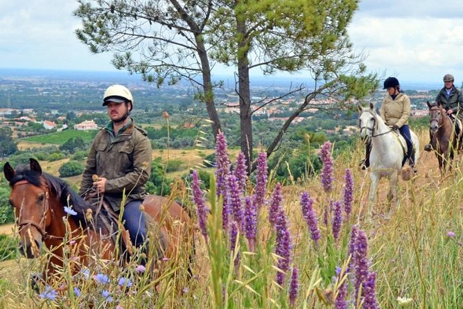 Horseback Riding In Lisbon - Arrábida - Louro Trail Mountain 5 - 6 Hours - The Sum Up