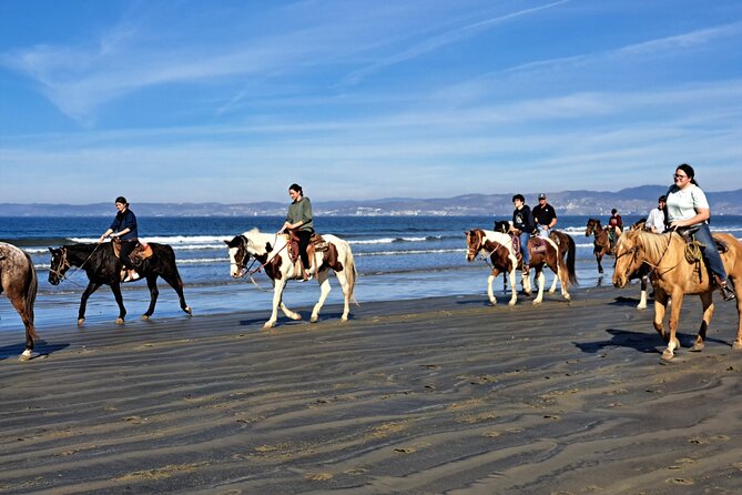 Horseback Riding on the Beach From Ensenada - The Sum Up