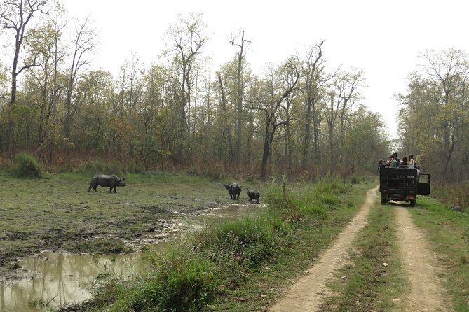 Jeep Safari ( Inside Chitwan National Park, 8-10 Hrs.). - Common Questions