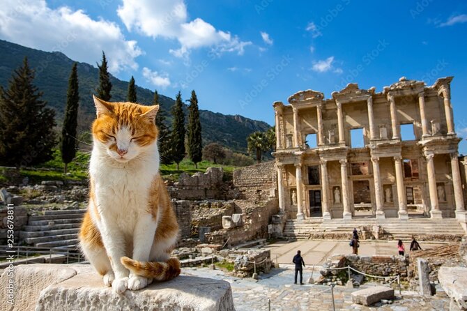 Journey to Ancient Wonders: Explore Ephesus With a Private Tour - The Sum Up