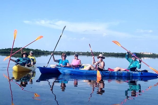 Kayak Tour of Mangrove Maze From Key West - The Sum Up