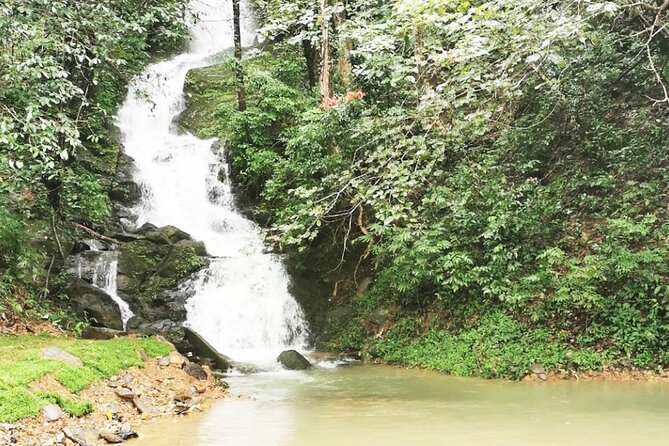 Khao Sok National Park Hiking and Canoeing Day Tour From Khao Lak - The Sum Up