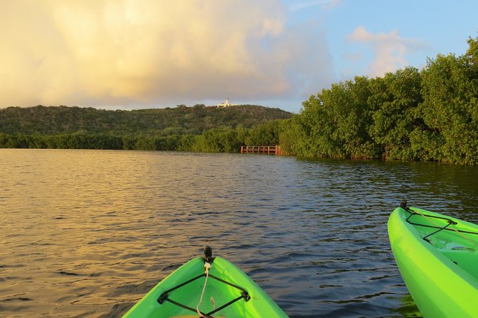 Laguna Grande Small-Group Bioluminescence Kayak Tour  - Puerto Rico - Safety Concerns, Practical Tips, and Overall Recommendations