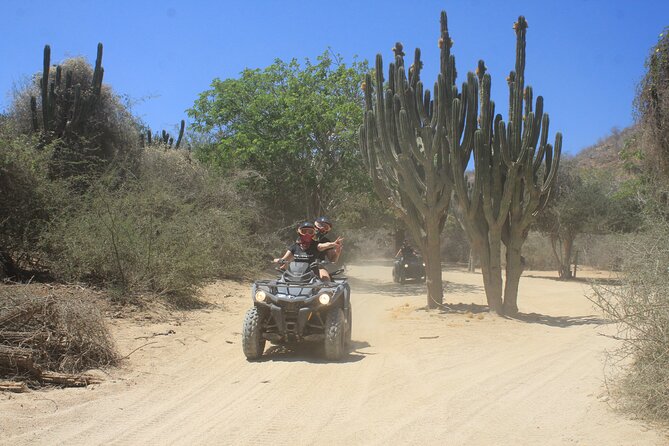 Los Cabos Beach & Desert Tour in Automatic ATV Tequila Tasting - Contact and Book Your Tour