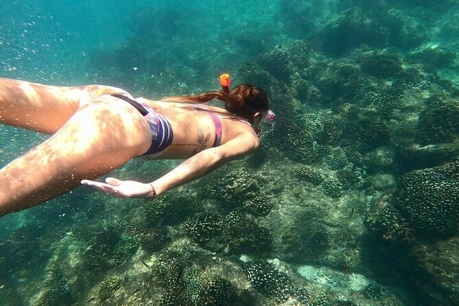 Luxury Snorkeling Tour in Cabo San Lucas - Exceptional Crew and Service