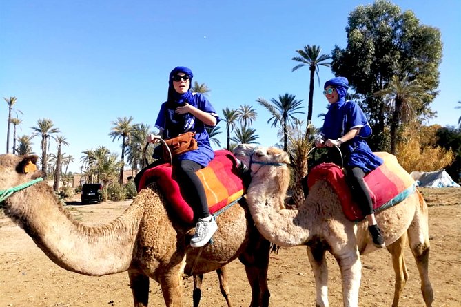 Marrakech Camel Ride & Quad Bike Experience in the Oasis Palmeraie - Directions to the Oasis Palmeraie