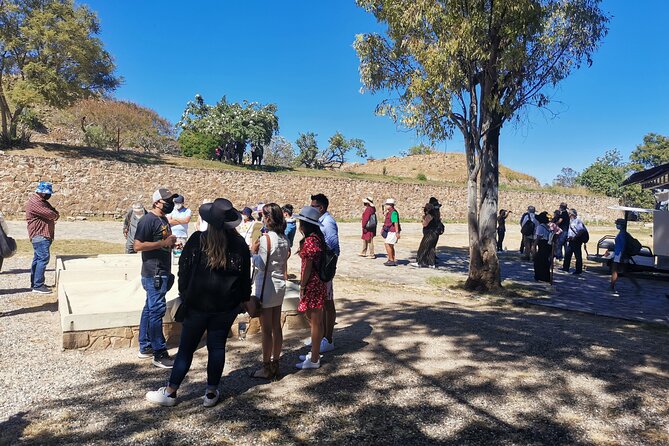 Monte Alban - Full Day Guided Tour With or Without Food - Oaxaca - Overview of the Tour