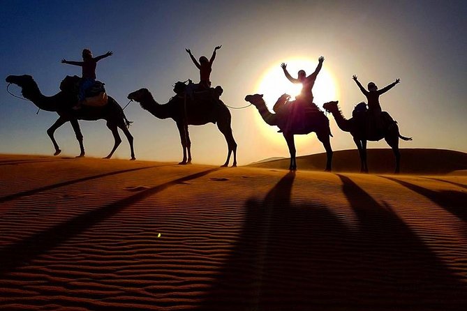 Morocco From Casablanca Private 11-Night Tour With Guide - Accommodation and Transportation