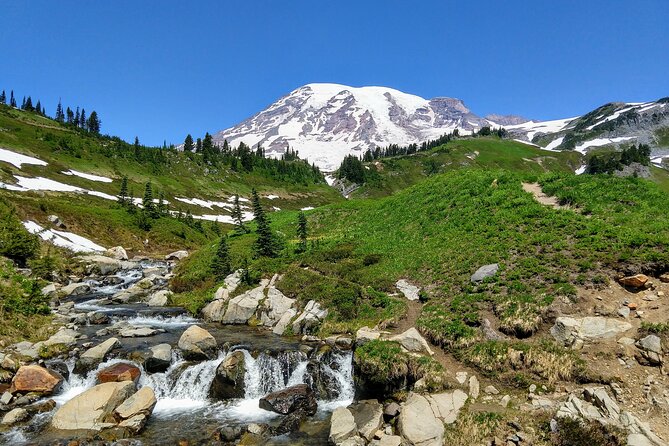 Mount Rainier National Park - Private Luxury Day Tour With Lunch - The Luxury Tour Experience