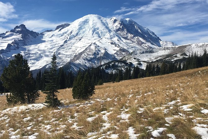 Mt. Rainier Three Burroughs Trail Semi-Private Guided Hike  - Seattle - Tour Highlights
