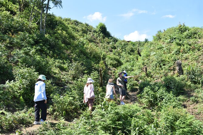 Muong Hoa Valley View & Village Trek in Sapa 1 Day - The Sum Up
