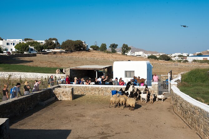 Mykonian Farm Entrance Ticket - The Sum Up
