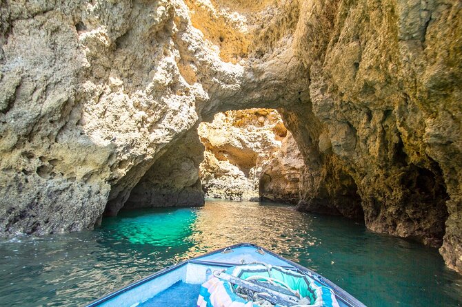 NEW Lagos-Watching Dolphins and Benagil Cave With Biologists - Traveler Photos and Viewing