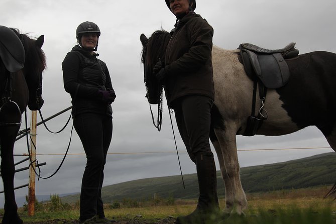 North Iceland: Horseback Riding Tour  - Akureyri - Common Questions