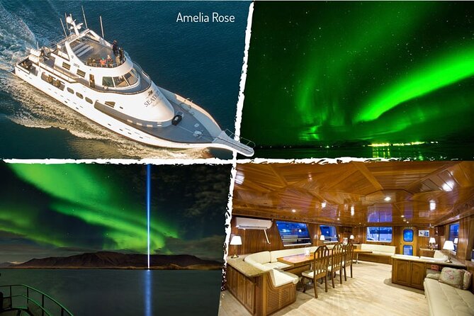 Northern Lights Yacht Cruise in Reykjavik - Winter Cruise Experience
