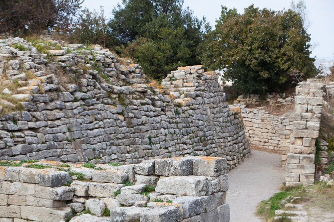 One Day Troy Tour From Istanbul - Lunch Included - Troy Experience and Educational Value