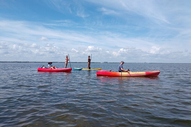 One Tandem Kayak Rental for 2 Hours With Manatee & Dolphin Sightings! - Common Questions