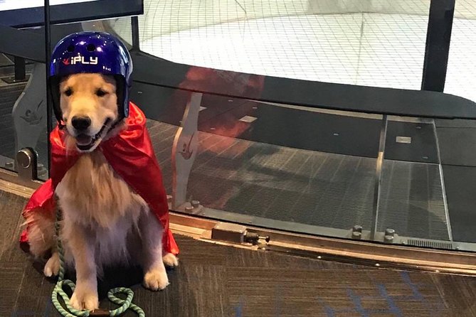 Ontario Indoor Skydiving Experience With 2 Flights & Personalized Certificate - Common Questions