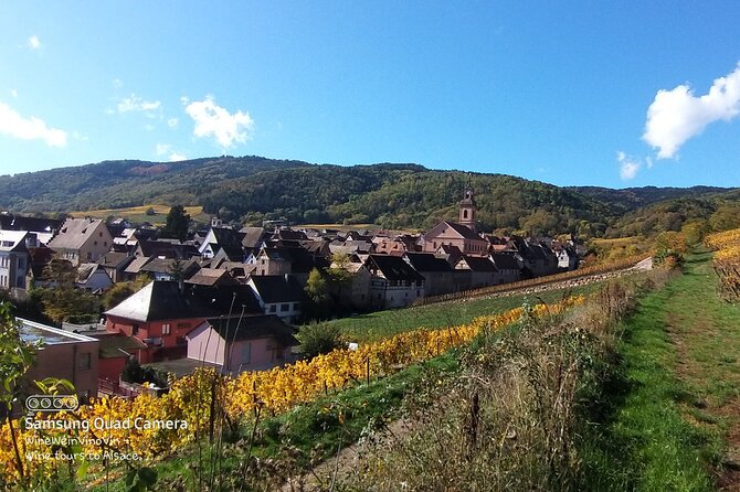 Pinot Noir & Pinot Wine Tour to Baden-Württemberg - The Sum Up