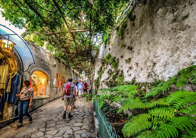 Pompeii, Positano & Sorrento Private Shore Excursion - Participation Details