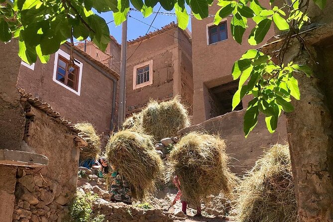 Premium Atlas Mountains Day Trip With Camel Ride Experience - Common Questions