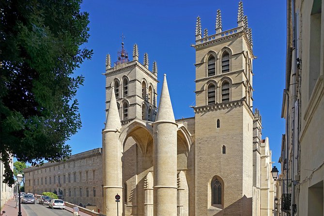 Private 2-hour Walking Tour of the Historical Center of Montpellier - Pricing and Guarantee