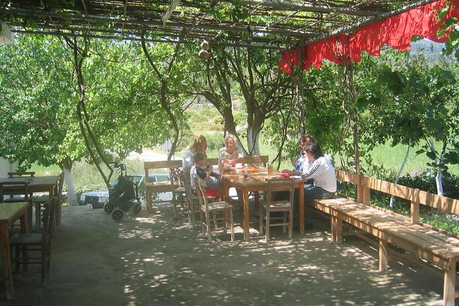 Private Bodrum Village Tour - Transportation and Pickup