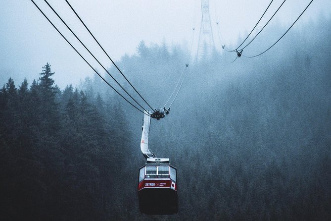Private Charter Tour to Explore Vancouver and Surrounding Area - Booking Information