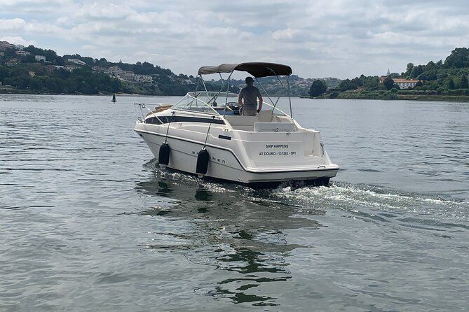 Private Cruise in Rio Douro - 2 Hours - up to 8 Passengers - The Sum Up