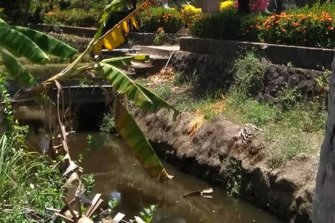 Private Day Trip to Visit MY LAI MASSACRE From Hoi an or Da Nang City - Important Information and Tips