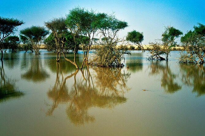 Private Full Day Guided Tour in Qatar North and West - The Sum Up