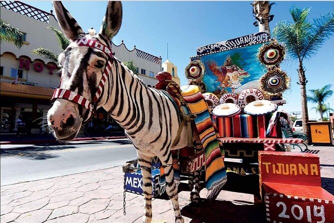Private Full-Day Guided Tour of Tijuana - Positive Recommendation