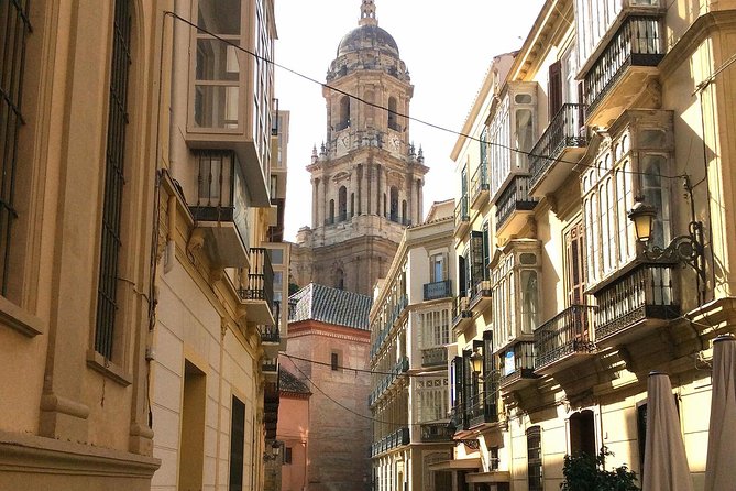 Private Full Day Tour in Malaga From Costa Del Sol - Common Questions