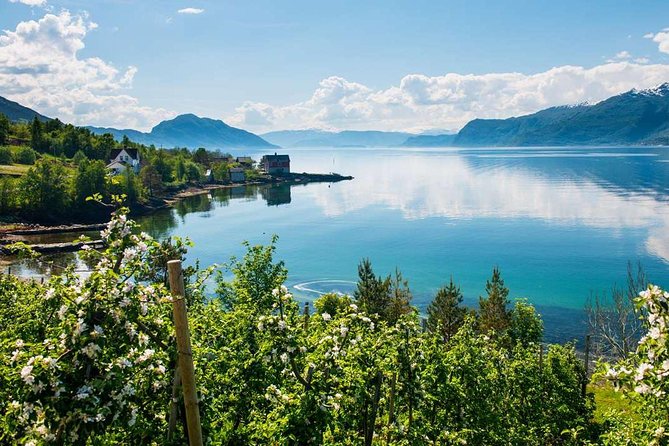 Private Guided Day Tour to Hardanger & Folgefonna Glacier - Incl Blue Ice Hiking - The Sum Up