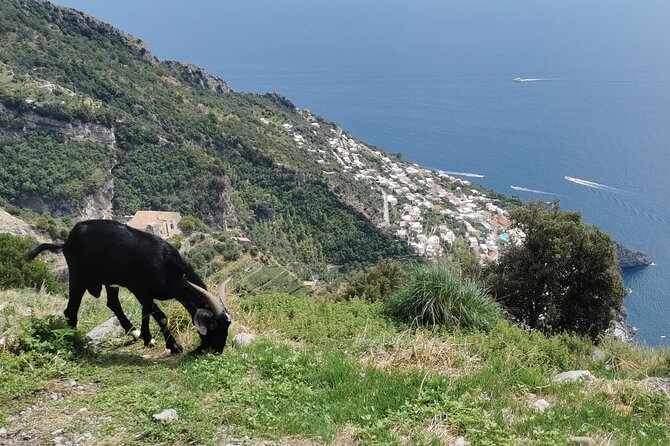 Private Guided Tour to the Path of the Gods - Half Day - The Sum Up