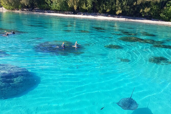 Private Half-Day Snorkeling Tour, Moorea - Tour Information