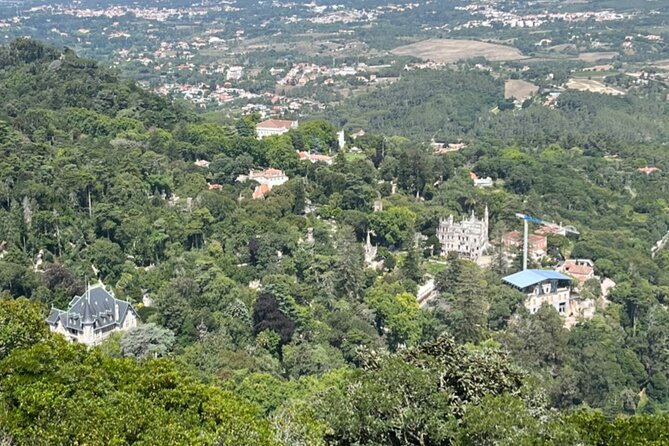 Private Half-Day Tour to Sintra - Customer Satisfaction and Recommendations