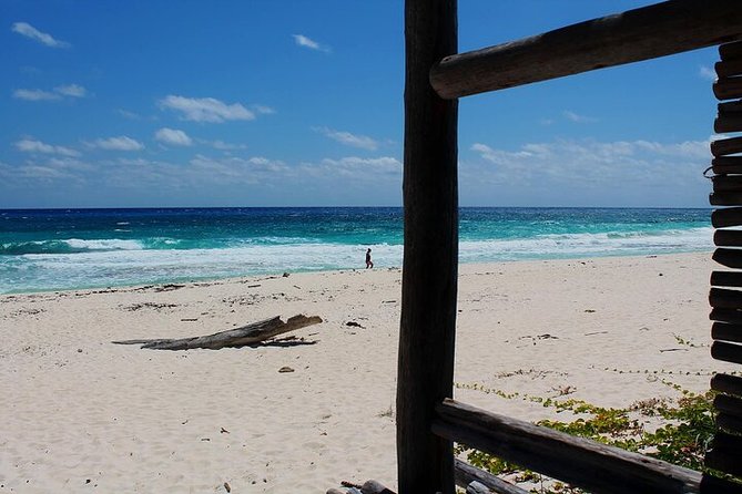 Private Jeep Tour in Cozumel - The Sum Up