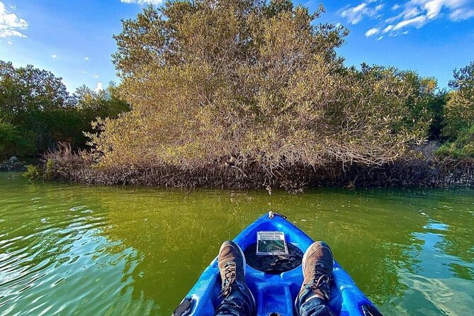 Private Kayak Adventure in Abu Dhabi - The Sum Up
