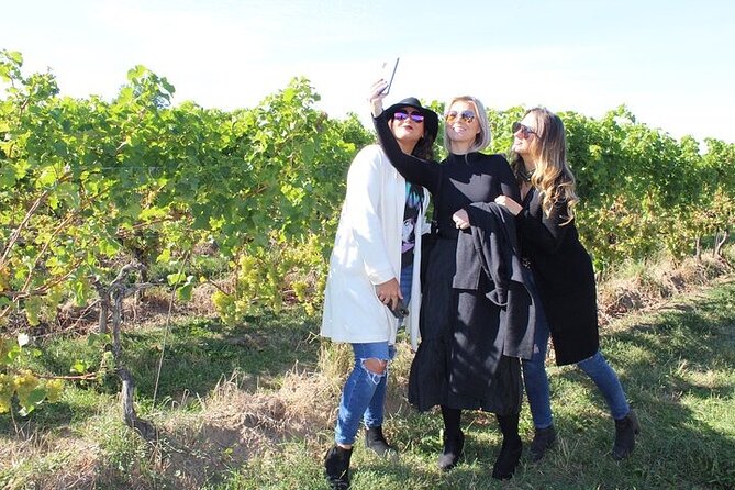 Private Niagara Region Wine Tasting Tour  - Niagara Falls & Around - Common Questions