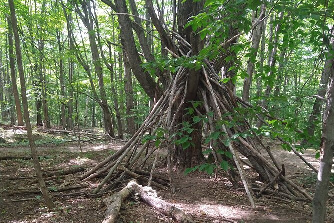 Private Singhampton Caves Hike, Collingwood/Blue Mtn/Creemore - Common Questions