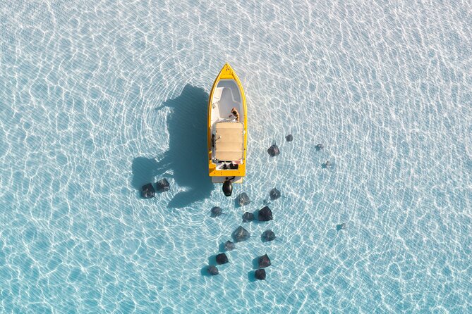 Private: Stingray City, Starfish, Snorkeling - 6 Guests - Pricing and Booking