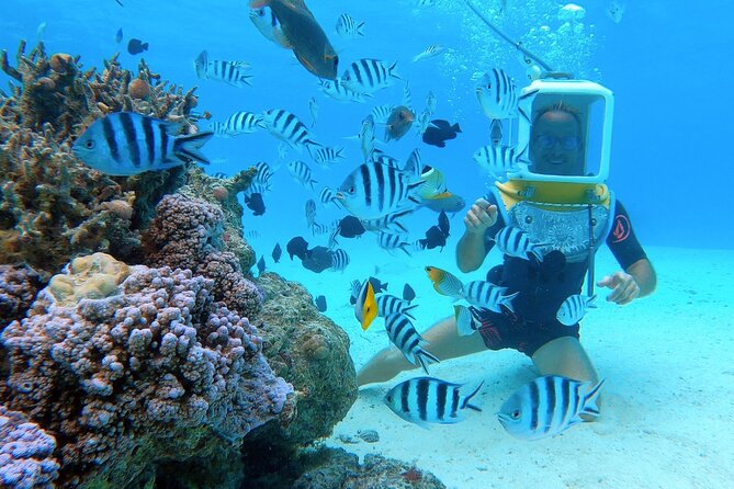 Private Tour: Aqua Safari Scuba Diving - Authentic Reviews and Ratings