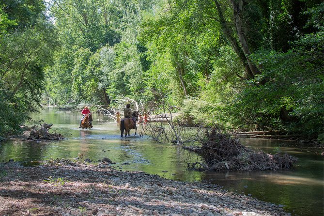 Private Tuscany Horseback Ride - Cancellation Policy